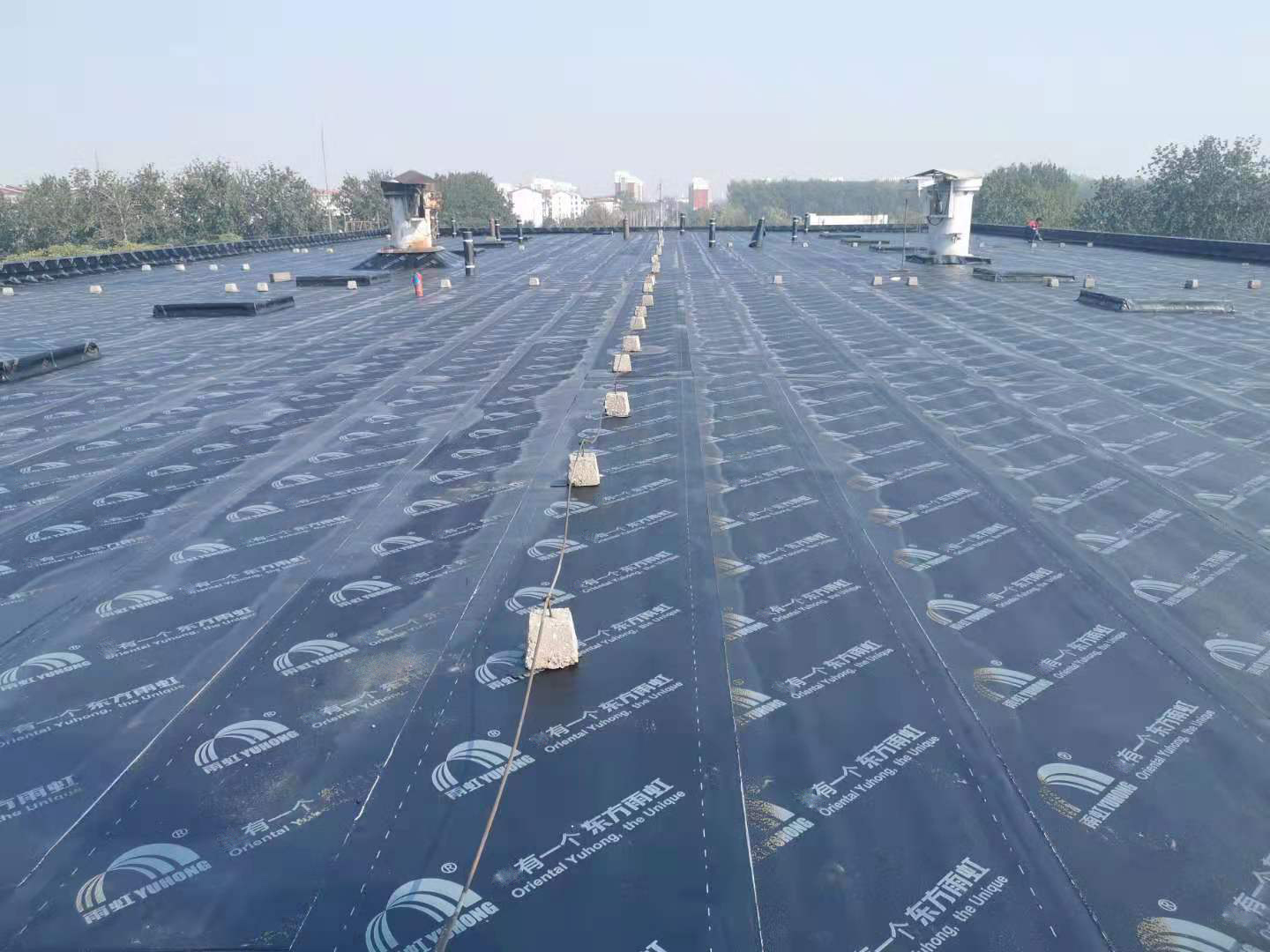 1_200323112451_1 jxf吉祥坊(中国)官方网站