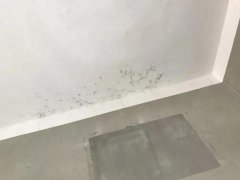 jxf吉祥坊(中国)官方网站