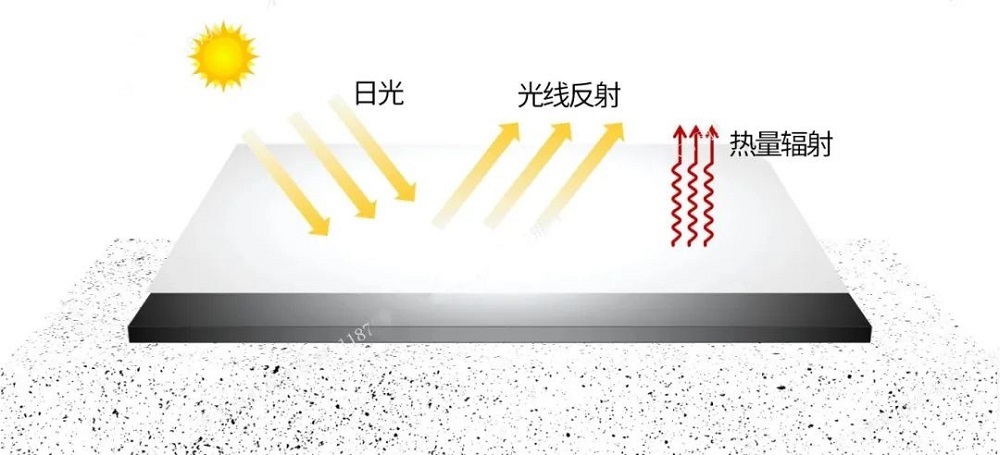 1_241015170117_1 jxf吉祥坊(中国)官方网站